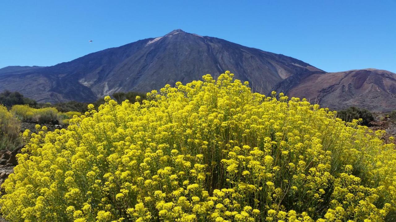Sissi Boutique - The Terrace Between Ocean And Teide Santa Ursula  Luaran gambar